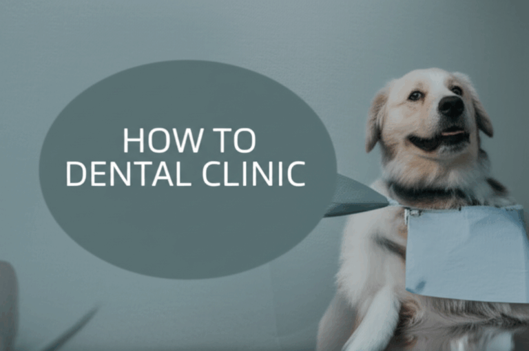 How to Advertise Your Dental Clinic A Simple Guide to Get and Keep More Patients