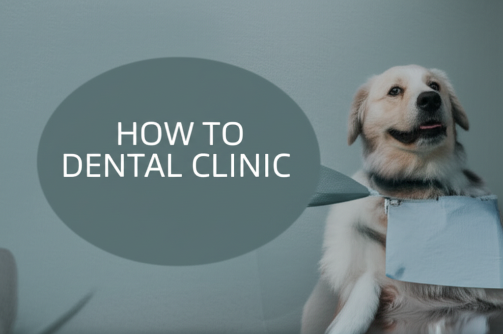 How to Advertise Your Dental Clinic A Simple Guide to Get and Keep More Patients