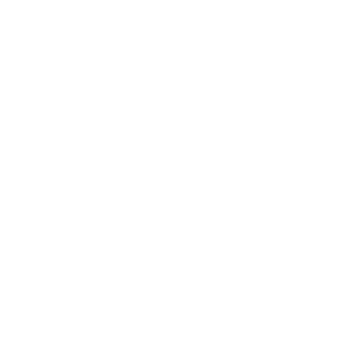 DEZ-SMT-Logo-white