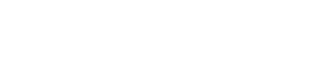 DEZSMT White logo 1